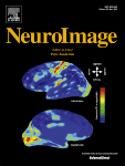 NeuroImage cover page
