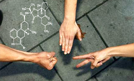 Bromocriptine does not affect decision-making