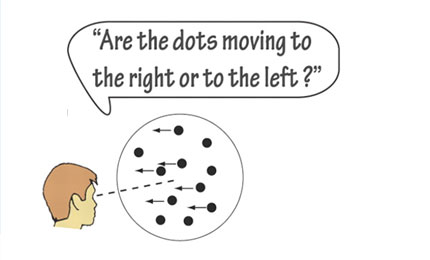 Bias in the brain